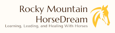 Rocky Mountain Horse Dream